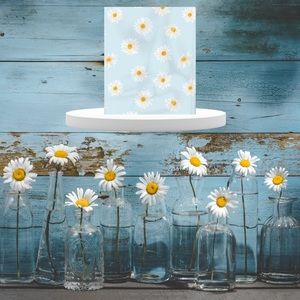 Poly Mailer Shipping Bags